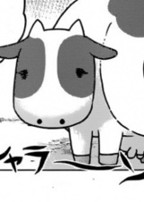 Ushiffon